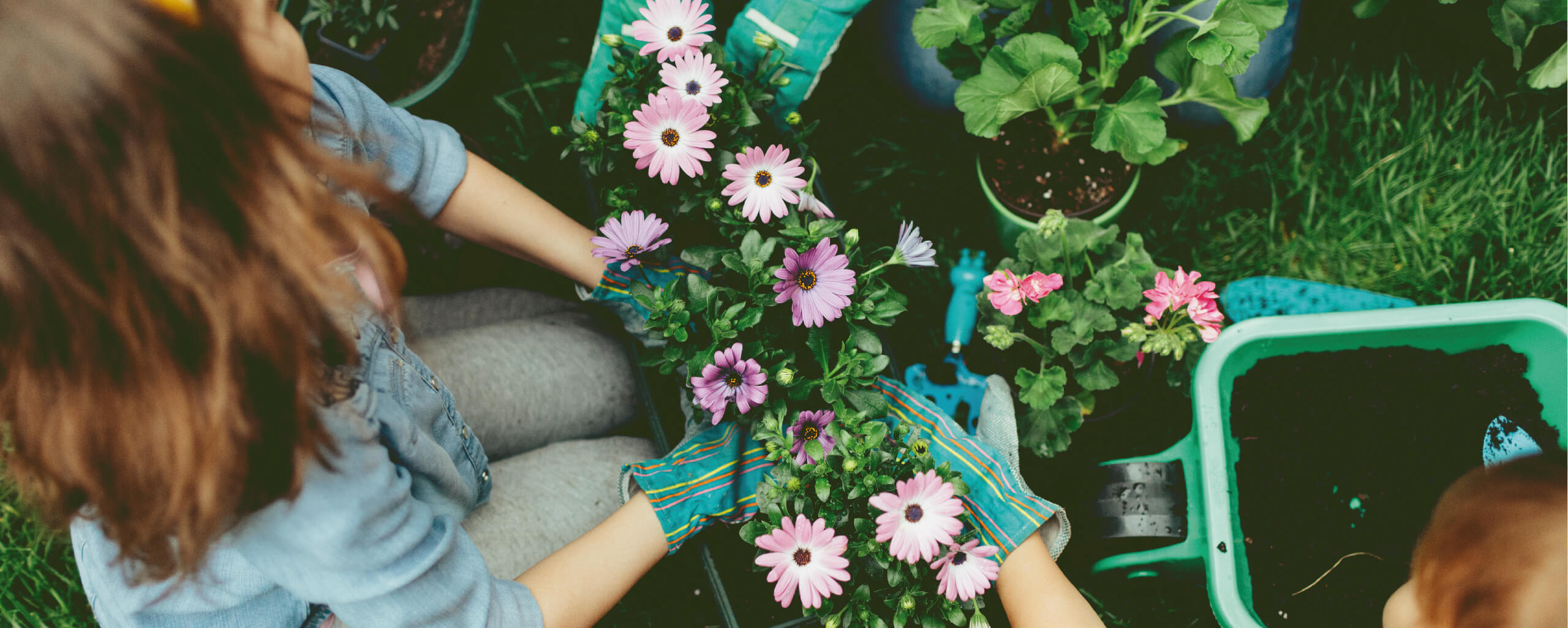 Fertilização e Fitossanidade, Piscinas e Utensílios de Jardim