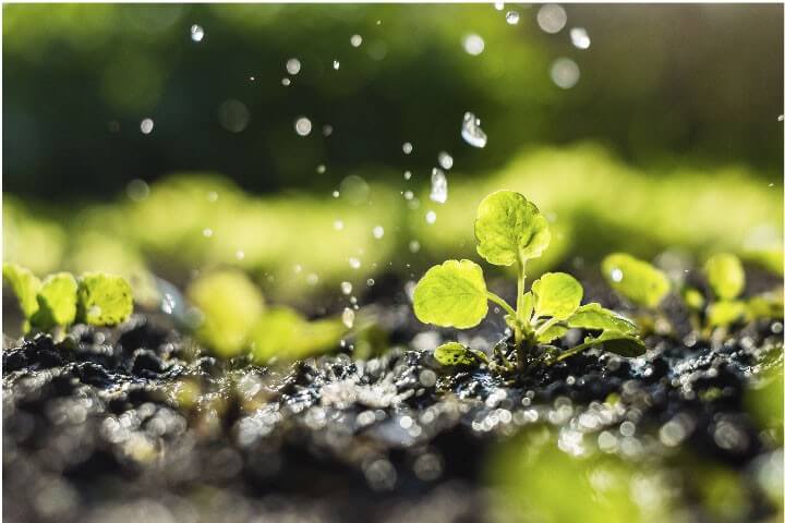 Utilize para ver mais_1