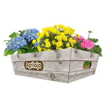 CAIXA P/PLANTAS CAIXA P/PLANTAS