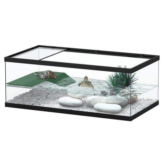 TARTARUGUEIRA 55CM