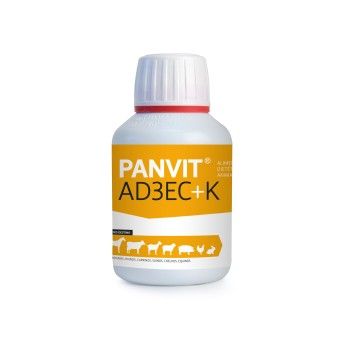 PANVIT AD3EC K 100ML