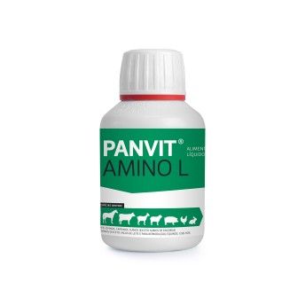 PANVIT AMINO L 100ML