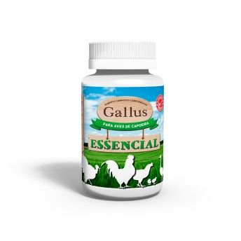 GALLUS ESSENCIAL 100GR