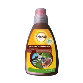 PASTA CICATRIZANTE SOLABIOL 300GR