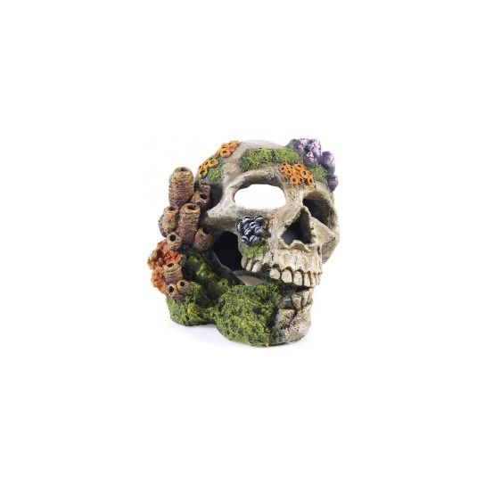 DEC SKULL 195X160X140MM