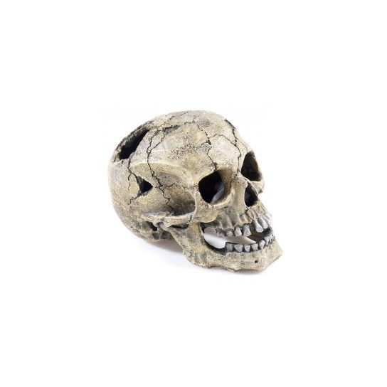 DEC CRACKED SKULL205X135X150MM