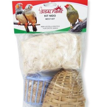 KIT NINHO EXOTICO