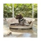 CAMA P/CAO OVAL TAUPE