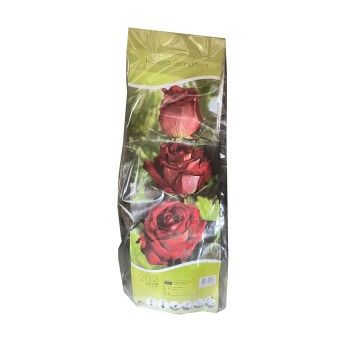 ROSEIRA TREPADEIRA CH IMPERIAL