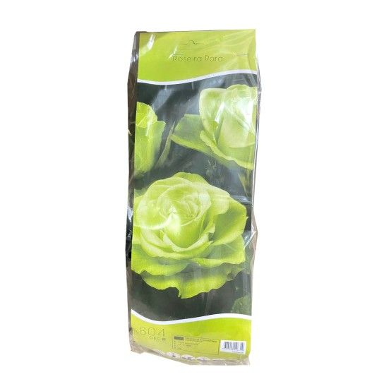 ROSEIRA RARA LEMONADE VRD