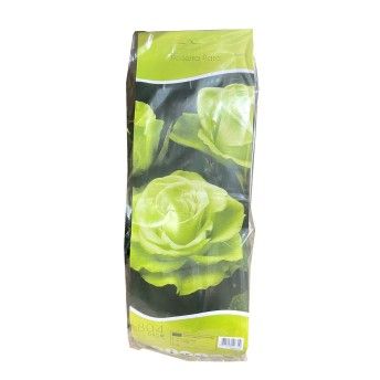ROSEIRA RARA LEMONADE VRD