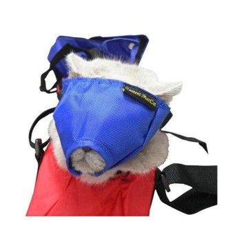 AAIME BUSTER NYLON P/GATO S
