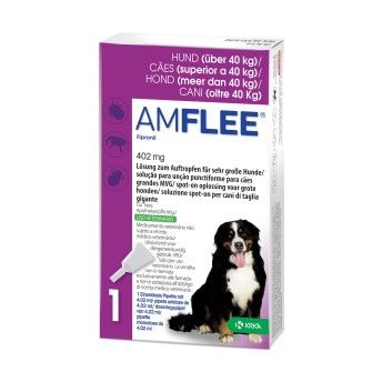 AMFLEE CAES 402MG 1 PIPETA