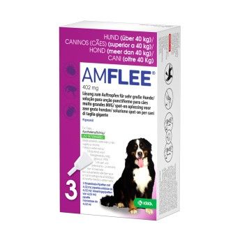 AMFLEE SPOT ON CAO 402MG 3 PIPETAS AMFLEE SPOT ON CAO 402MG 3 PIPETAS