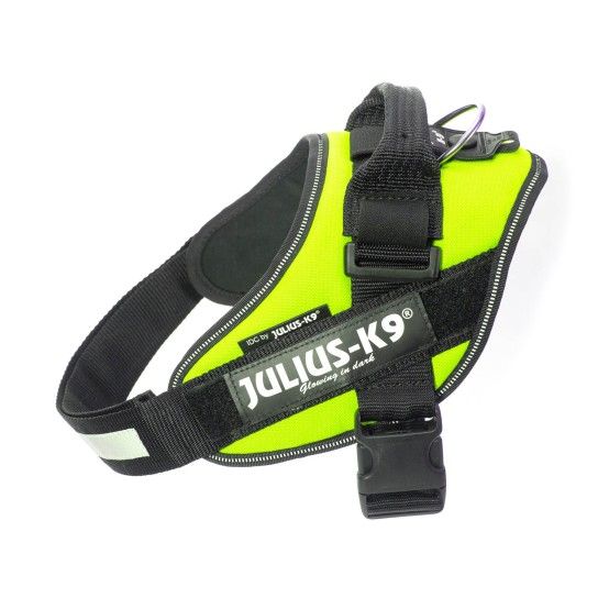 PEITORAL JULIUS K9 TAM 0 NEON