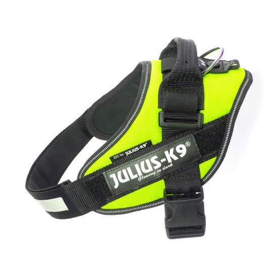 PEITORAL JULIUS K9 TAM 1 NEON