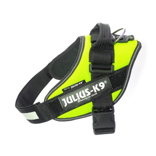 PEITORAL JULIUS K9 TAM 2 NEON