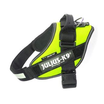 PEITORAL JULIUS K9 TAM 3 NEON