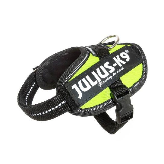 PEITORAL JULIUS K9 BABY 1 NEON PEITORAL JULIUS K9 BABY 1 NEON