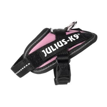 PEITORAL JULIUS K9 BABY 1 ROSA PEITORAL JULIUS K9 BABY 1 ROSA