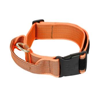 COLEIRA JULIUS 40MM LARANJA S/M COLEIRA JULIUS 40MM LARANJA S/M