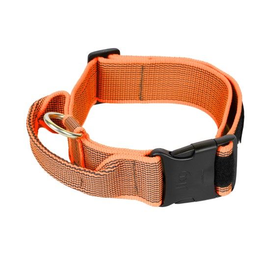 COLEIRA JULIUS 50MM LARANJA M/L COLEIRA JULIUS 50MM LARANJA M/L