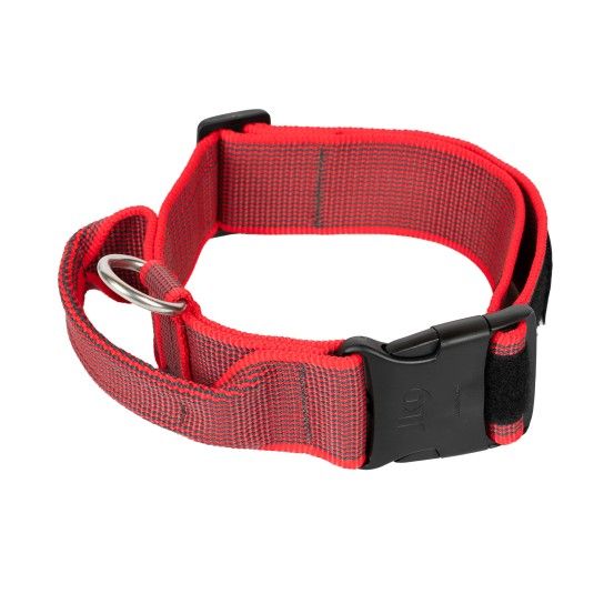 COLEIRA JULIUS 40MM VERMELHO S/M COLEIRA JULIUS 40MM VERMELHO S/M