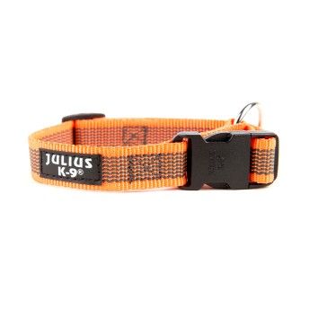 COLEIRA JULIUS LARANJA M/L