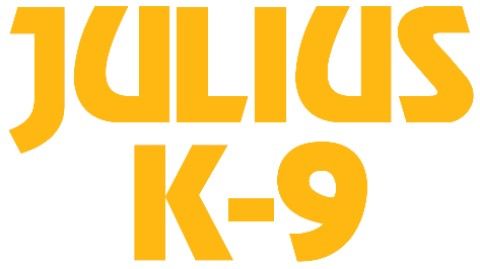 JULIUS JULIUS